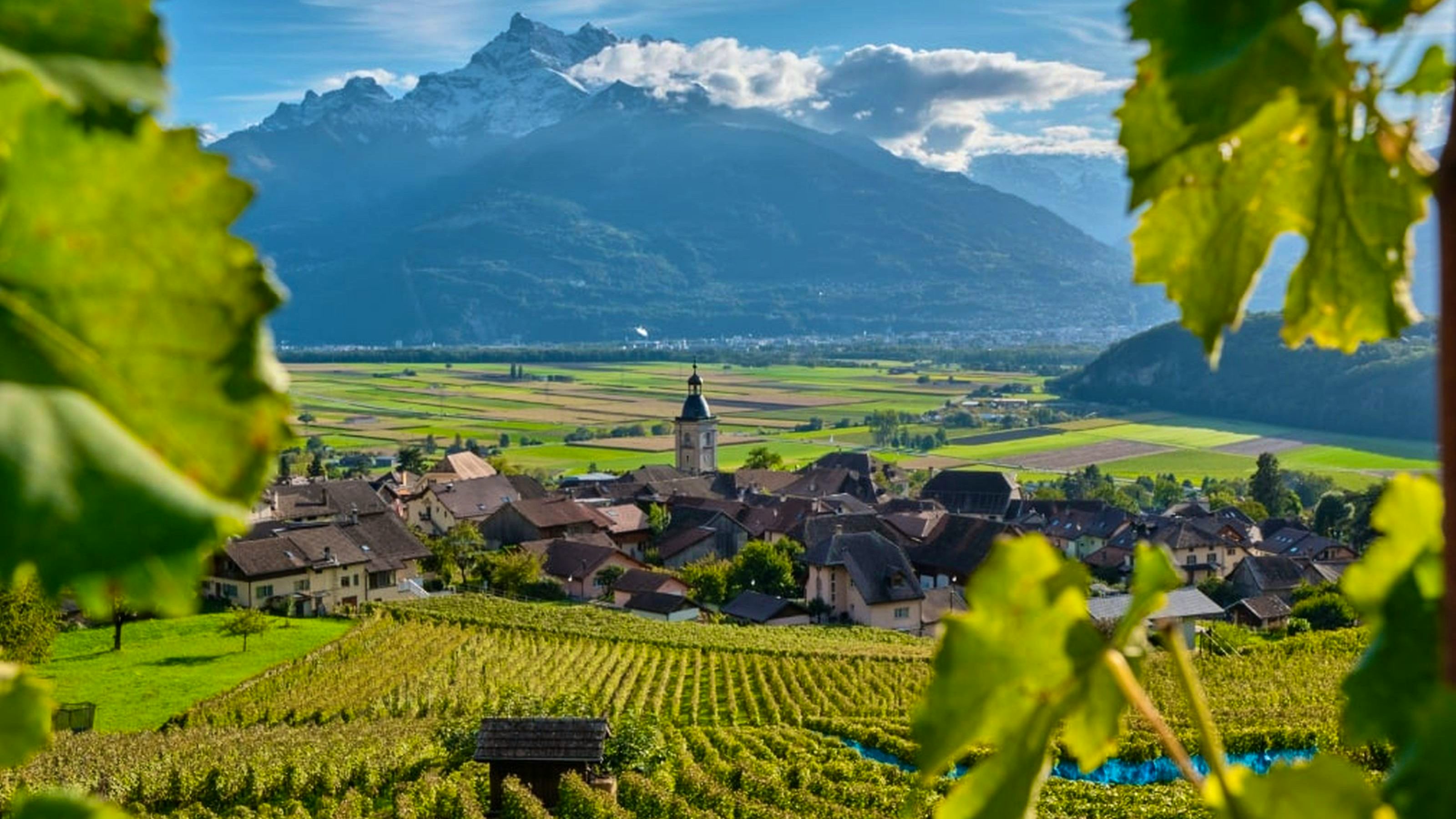 Vue sur un village et des vignes dans le Chablais.